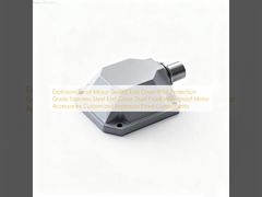 Patlamaya Dayanıklı Motor Kapalı Uç Kapağı IP66 Koruma Sınıfı Paslanmaz Çelik Uç Kapak Toz Geçirmez Su Geçirmez Motor Aksesuarları Özelleştirilmiş Patlamaya Dayanıklı Bileşenler